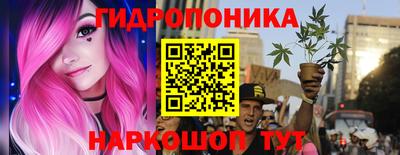 спиды Шелехов